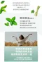涼香茅皂200g｜素顏之本｜洗手｜洗臉｜洗澡｜薄荷｜夏季｜勁涼感｜涼爽｜肥皂