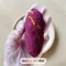 Pets Picnic X Meal ｜紫薯地瓜麵包(2入裝)