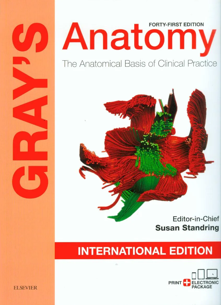 舊版特價-恕不退換)Gray''s Anatomy: The Anatomical Basis of