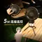 [ SANSUI 山水 ] 多功能照明風扇｜2024NEW新款 SDF-M77 露營風扇 插電風扇 強力風扇 電扇