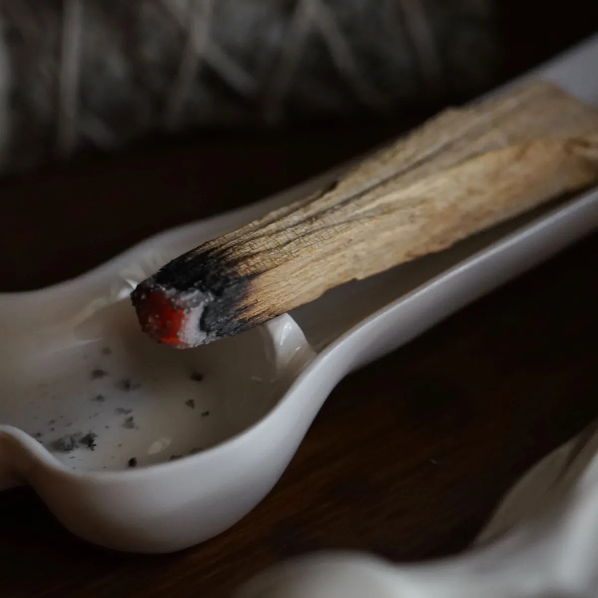 最安挑戦 BONE PALO SANTO HOLDER . CE | solinvet.com