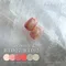 PRESTO 彩色凝膠 BT009*