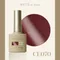 ARTiS di Voce 貓眼甲油膠8g CE070