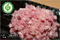北海珍豬-低脂絞肉 300g±10%【北海漁鋪】