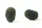 超光速粒子捷克隕石11.23g