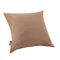 【Coleman】冒險者舒壓睡袋 C0 CM-38772  coleman睡袋