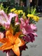 B2-51│鮮花桌花│新北市花店│蘆洲花店│婚禮布置│開幕花禮│喬遷花禮│榮任花禮│升遷花禮│訂花│送花