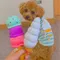 日本LOVE PETS｜香草霜淇淋甜筒
