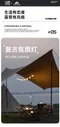 [ ShineTrip山趣 ] 05系列復古氛圍露營小吊燈｜光線柔美復古小夜燈｜烘托露營情調