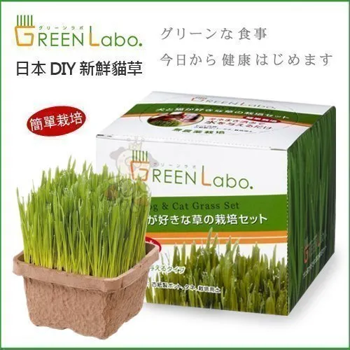 日本green Labo Diy新鮮貓草 犬貓適用 無農藥栽培