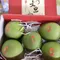 [預購] 麻豆老欉文旦禮盒