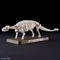 PLANNOSAURUS 06 甲龍 Ankylosaurus 恐龍組裝模型 Bandai