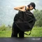 [ OWLCAMP ] ZERO mini 行軍床拋帳 │ 兩色 快速帳 秒開帳 小帳篷 ST-04FA  ST-04FB