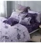 200織紗40支精梳棉薄被套床包組(特大)紫葉莊園