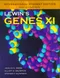 (舊版特價-恕不退換)Lewins Genes XI (IE)