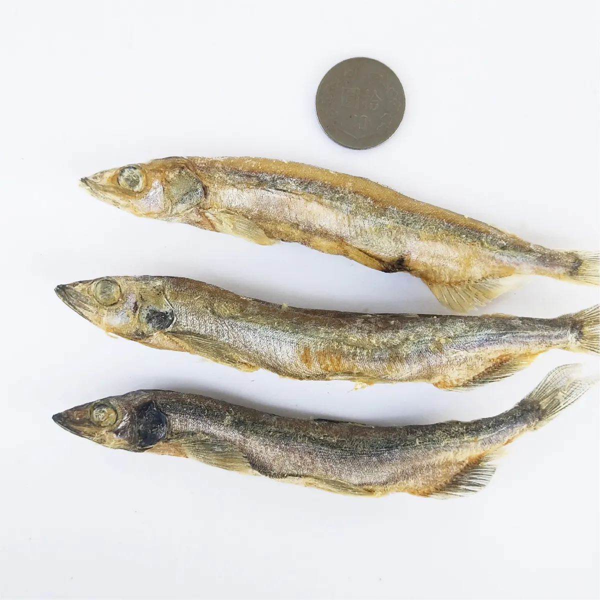 樺太柳葉魚凍乾