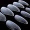 KOPER Pekina Beak Tip Small Kit (240入)