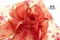 冬季玫瑰禮盒包裝(W137/Winter Roses Gift Box Packaging)