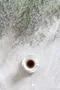 ⎪ 初START COFFEE⎪  蝶舞莊園 珍珠圓豆 維基谷地
