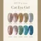 ARTiS di Voce 貓眼甲油膠8g CE098