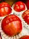 PR3856 農曆新年燙金緞帶 ｜ 新年緞帶 ｜ 燙金紅底絨布緞帶 15mm (PR3856 CHINESE NEW YEAR METALLIC VELVET RIBBON 15mm )