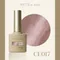 ARTiS di Voce 貓眼甲油膠8g CE017