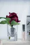 法國 Côte Noire 蔻特蘭 小朵紅玫瑰香氛花透明瓶