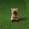 Dinotaeng - Peanut Quokka Keyring：超可愛