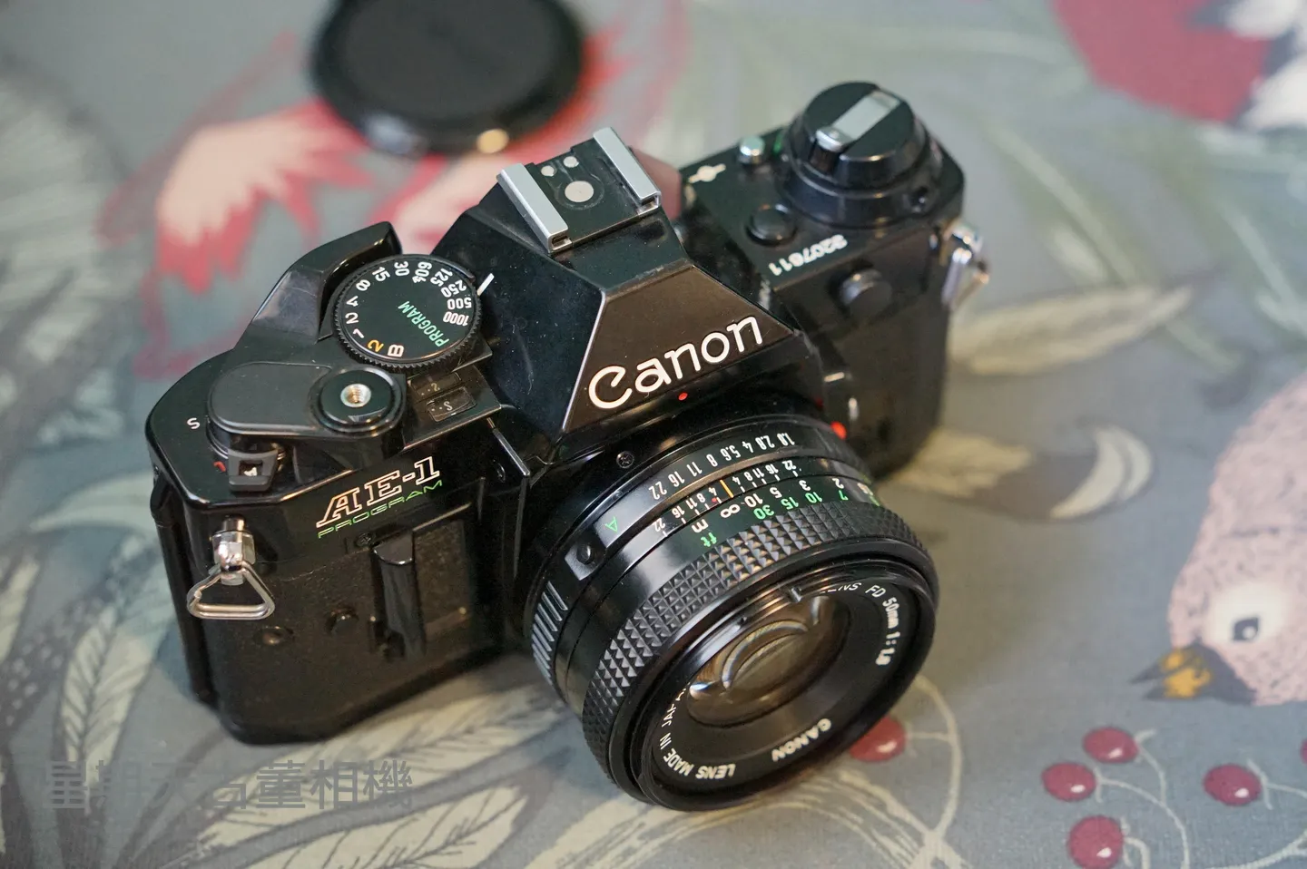 AE-1 50mm PROGRAM ☆完全動作☆Canon F1.4 ＃703