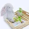 Jellycat 31cm 碎花銀灰 Blossom Silver