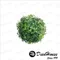 球形綠色植物 人造花 仿真草 人造草 仿真盆栽 盆栽擺飾 桌飾
