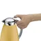 ALFI Vacuum jug Gusto 不銹鋼保溫壼 1L (黃色) #3561.295.100