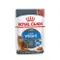 【喵村食堂😊】法國皇家貓主食濕糧85g★Royal Canin★餐包罐頭☆