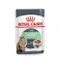 【喵村食堂😊】法國皇家貓主食濕糧85g★Royal Canin★餐包罐頭☆
