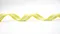 K1672 金銀蔥線直條織帶21MM (K1672 Stripe with Metallic Ribbon -21MM )