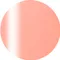 ageha gel Opti Color 彩色凝膠2-06