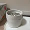 寵物商品／Inherent－Pudding 布丁陶瓷碗！可疊加使用！