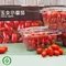【霧峰區農會】玉女番茄禮盒(600克x6盒/箱)(含運)