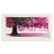 初戀的地方