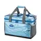 [ Coleman ]  XTREME保冷袋-15L/25L/35L│ CM-22212/CM-22238/CM-22215 收納袋 保鮮袋