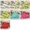 PR2746 哈利葉印刷緞帶 15mm  (PR2746 HOLLY LEAVES CHRISTMAS RIBBON 15mm )