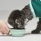 寵物商品／Inherent－Macaron Silicone cup矽膠水碗！攜帶方便！