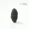 超光速粒子捷克隕石11.23g