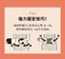 Solutio 機能靜音護腰束腹帶