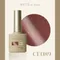 ARTiS di Voce 貓眼甲油膠8g CE089