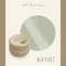 ARTiS di Voce 貓眼凝膠2g KE017