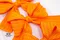 柑橘樂園蝴蝶結(K1750-361/Citrus Garden Bow) ｜格子｜橘色｜手作｜布置｜春天｜緞帶用途｜髮飾｜萬聖節