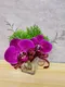 E2-1│胸花│新北市花店│蘆洲花店│婚禮│訂花│送花