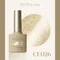 ARTiS di Voce 貓眼甲油膠8g CE026