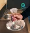 Riedel Glass Cleaner 酒杯專用清洗器滾珠 #12613